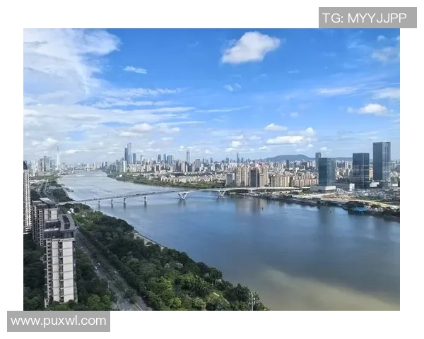 广州排球队的奋斗历程与洲际杯荣耀之路揭秘